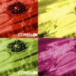 Fatti di nuoto Weekly: Risultati sparsi di un weekend sparso