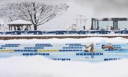 Nuoto in Acque Gelide, successo per gli Europei Open 2026 di Molveno