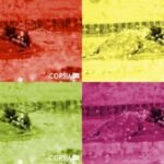 Fatti di nuoto Weekly: Nuotatori in fuga