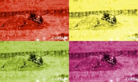 Fatti di nuoto Weekly: Nuotatori in fuga